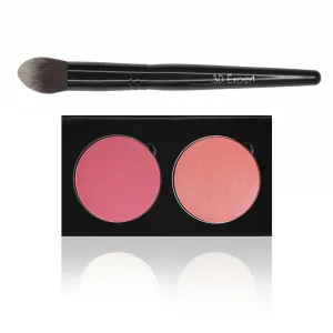 RAZZLE DAZZLE / DESERT ROSE - BLUSH DUO PALETTE AND 3D EXPERT BRUSH SET