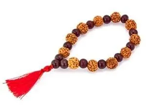 Rudraksha with Red Sandalwood Stretch Bracelet